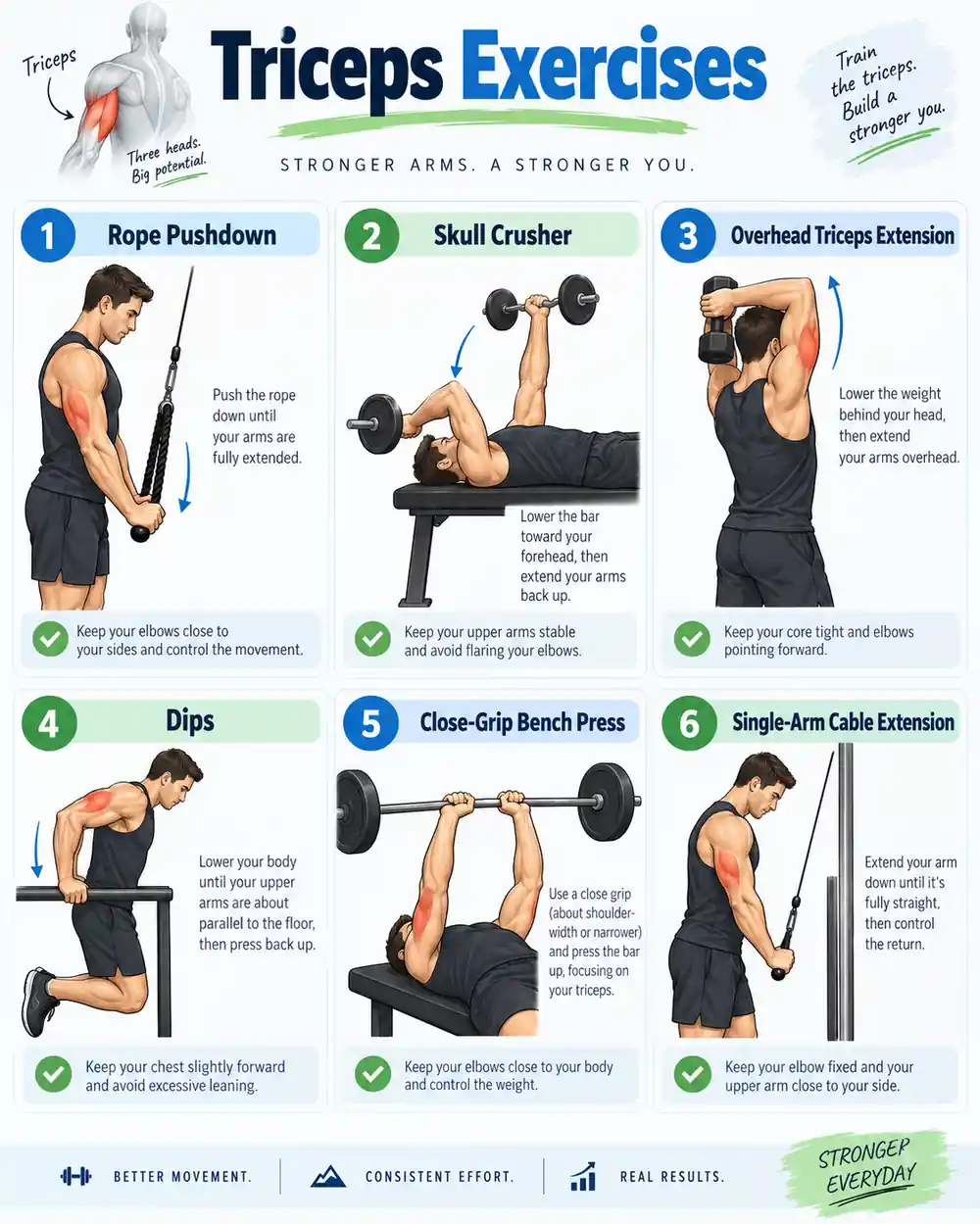 exercises to build the triceps